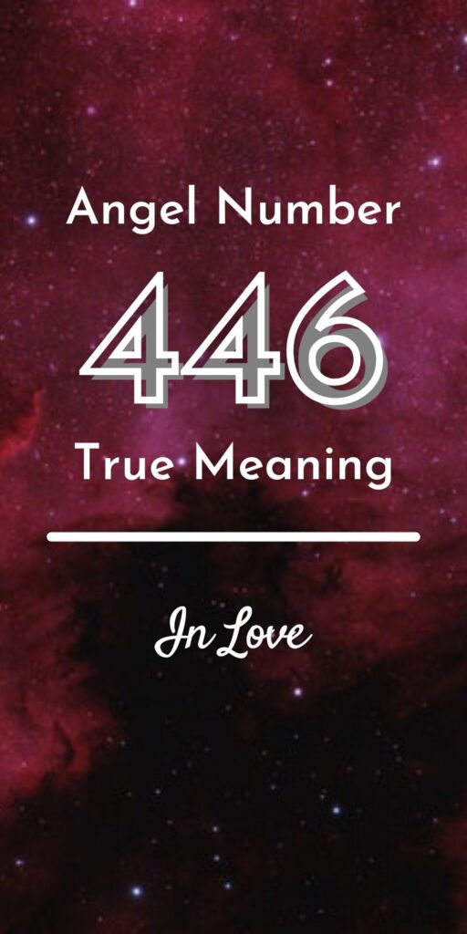 446 angel meaning